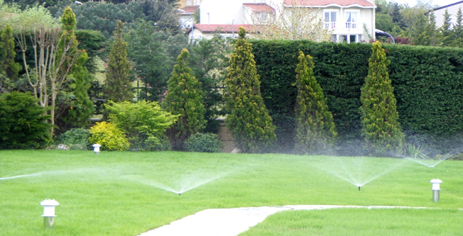 Periyodik bahçe Bakımı